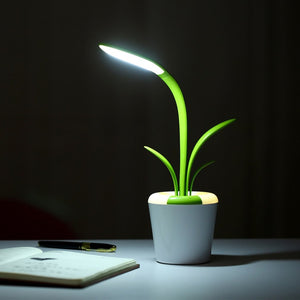 Plant desk lamp